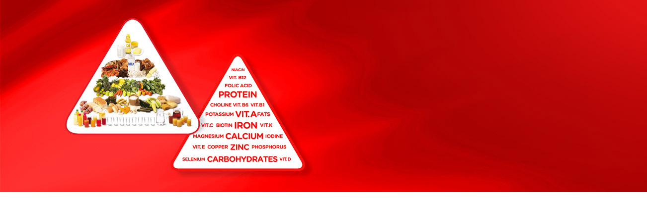 Food Pyramid