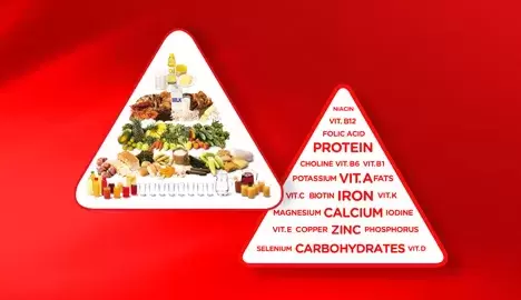 Food Pyramid