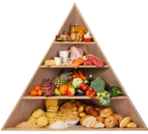 Food Pyramid Five Food Groups